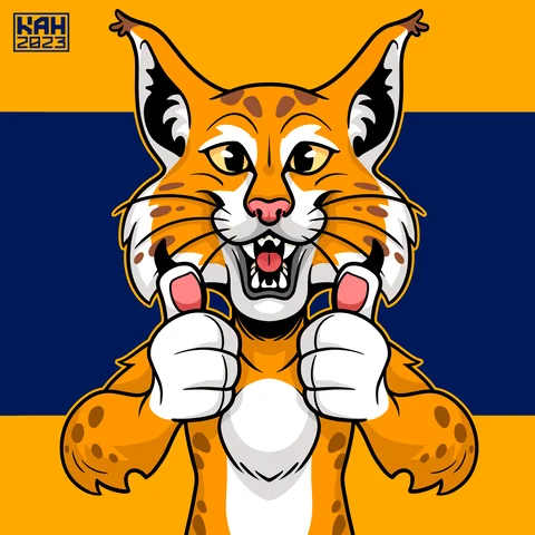Go Wildcats