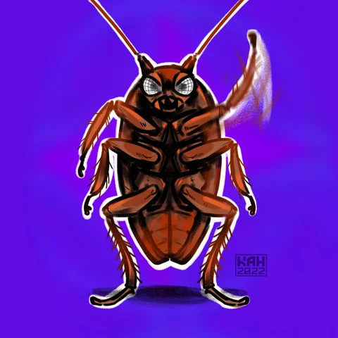 Violent Roach