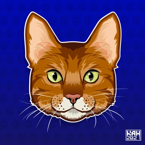 Abyssinian