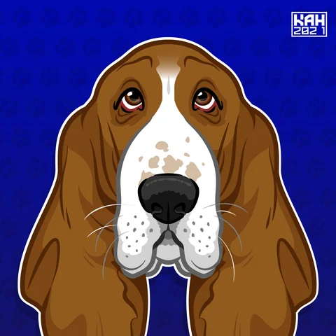 Basset Hound