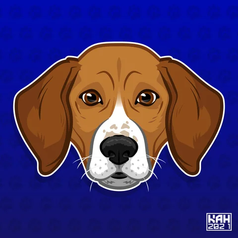 Beagle