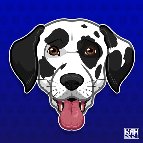 Dalmation
