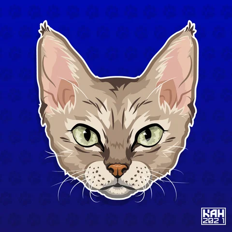 Devon Rex