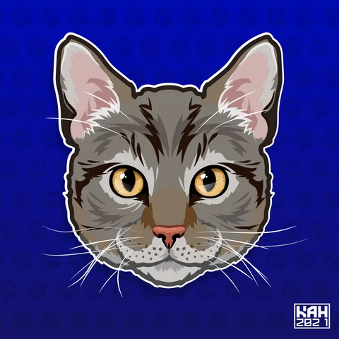 Domestic Shorthair