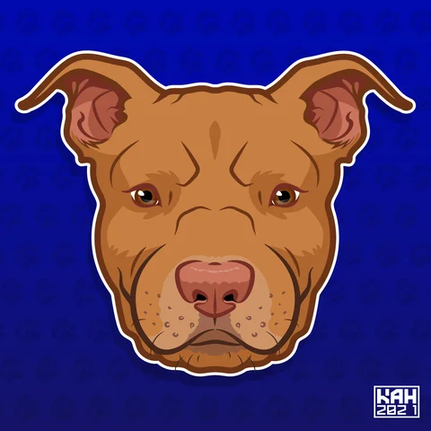 Pitbull