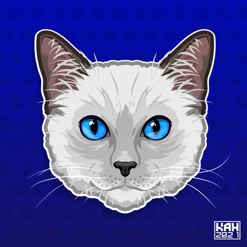 Ragdoll