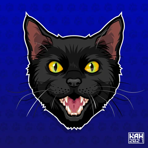 Spooky Black Cat