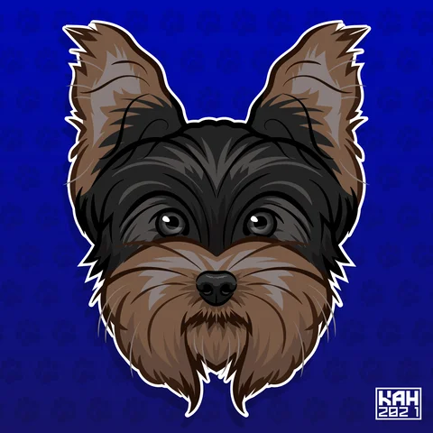Yorkshire Terrier